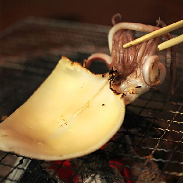日本海厳選地魚一夜干「一日漁」吉祥天(きっしょうてん) 甘鯛・のどぐろ・白いか(またはするめいか)・かれい 岡富商店 のし対応可
