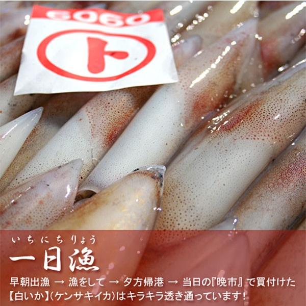 日本海厳選地魚一夜干「一日漁」吉祥天(きっしょうてん) 甘鯛・のどぐろ・白いか(またはするめいか)・かれい 岡富商店 のし対応可
