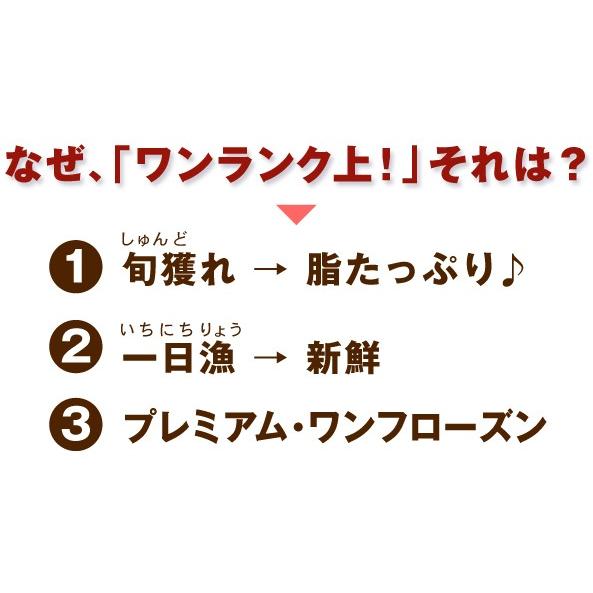 日本海厳選地魚一夜干「一日漁」吉祥天(きっしょうてん) 甘鯛・のどぐろ・白いか(またはするめいか)・かれい 岡富商店 のし対応可