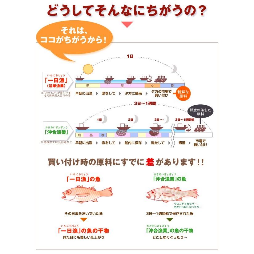 日本海厳選地魚一夜干「一日漁」吉祥天(きっしょうてん) 甘鯛・のどぐろ・白いか(またはするめいか)・かれい 岡富商店 のし対応可