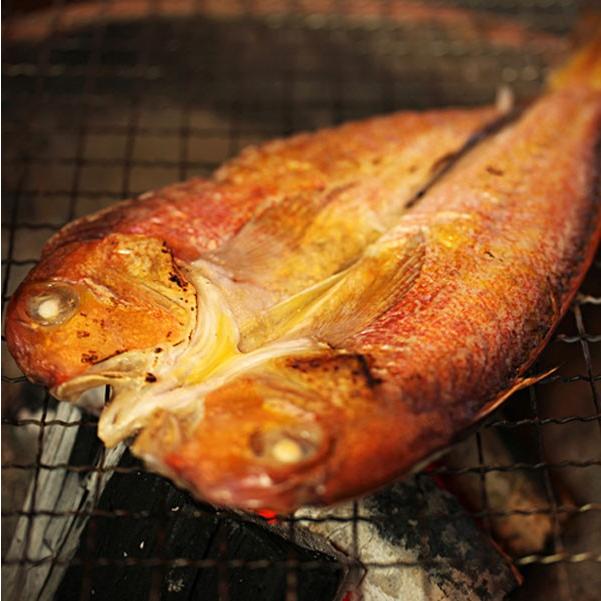 日本海厳選地魚一夜干「一日漁」吉祥天(きっしょうてん) 甘鯛・のどぐろ・白いか(またはするめいか)・かれい 岡富商店 のし対応可