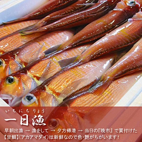 日本海厳選地魚一夜干「一日漁」吉祥天(きっしょうてん) 甘鯛・のどぐろ・白いか(またはするめいか)・かれい 岡富商店 のし対応可