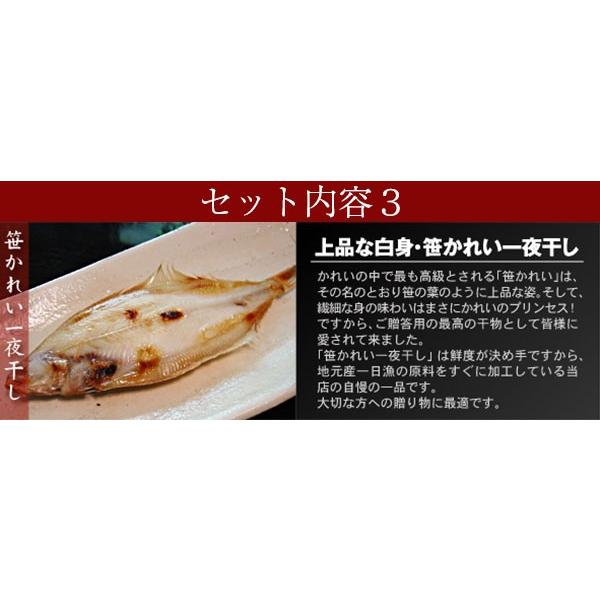 日本海厳選地魚一夜干「一日漁」吉祥天(きっしょうてん) 甘鯛・のどぐろ・白いか(またはするめいか)・かれい 岡富商店 のし対応可