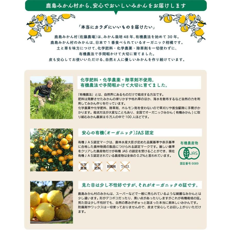 2024年10月再開予定】佐藤さん家の有機みかん100％ストレートジュース