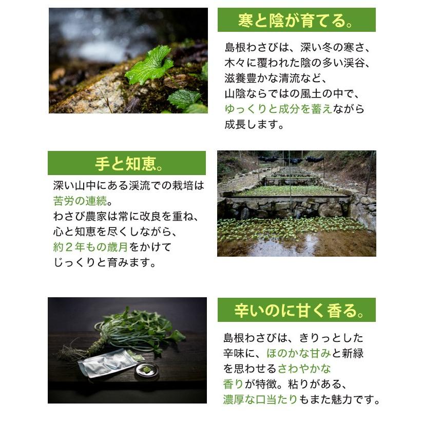島根わさび ギフトセットA (わさび醤油漬、わさび粕漬、わさび 島根わさび ギフトセットA (わさび醤油漬、わさび粕漬、わさび