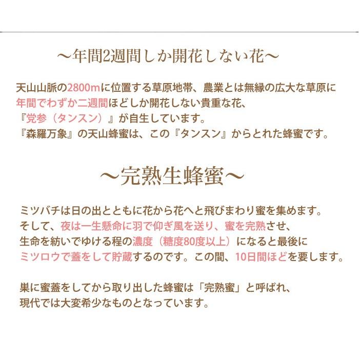 森羅万象 はちみつ 天山蜂蜜 600g 年間でわずか二週間ほどしか 森羅万象 はちみつ 天山蜂蜜 600g 年間でわずか二週間ほどしか