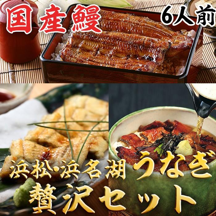 6個セット浜名湖うなぎ蒲焼缶詰　国産品化学調味料無添加　海外土産　キャンプ　備蓄 6個セット浜名湖うなぎ蒲焼缶詰 国産品化学調味料無添加 海外土産