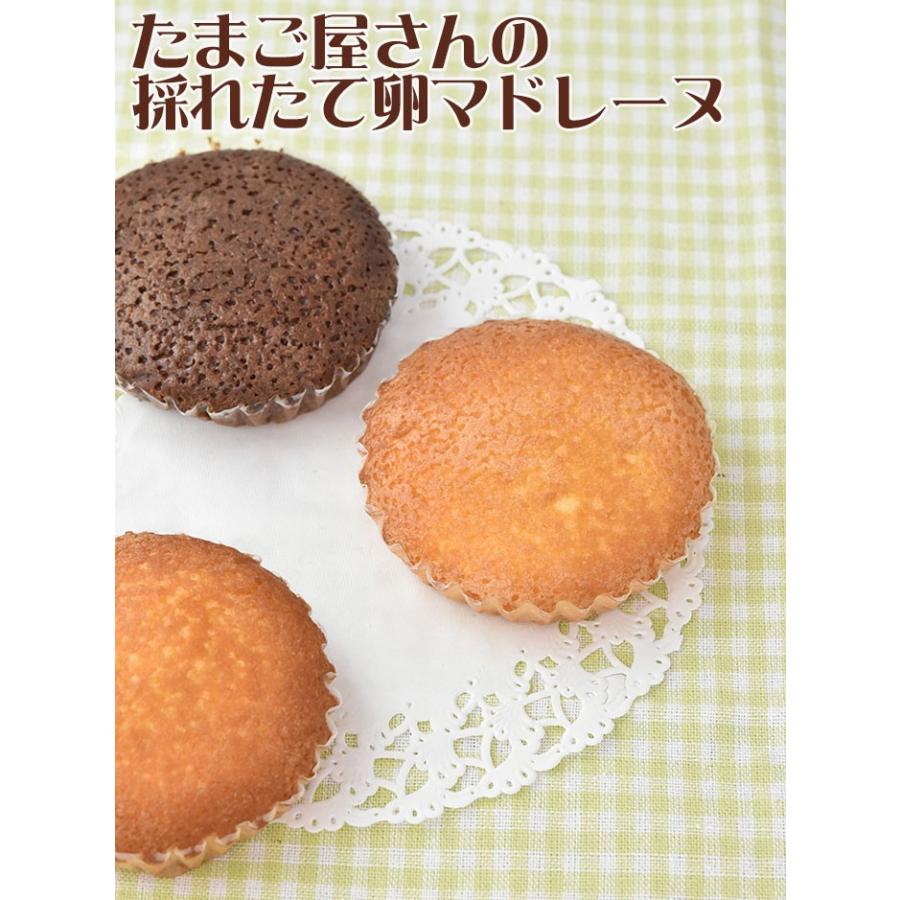 お中元 2026 マドレーヌ4種12個セット(ギフト箱入り) ヤマサキ農場
