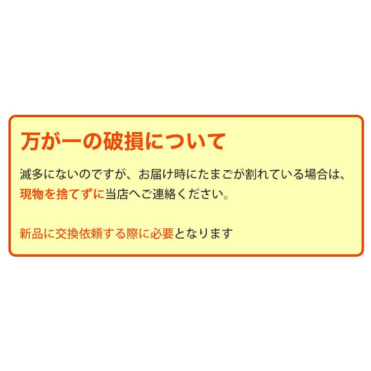 お中元 2026 ゆずたま2パック・ゆずたま焼き4個セット 生卵 ヤマサキ