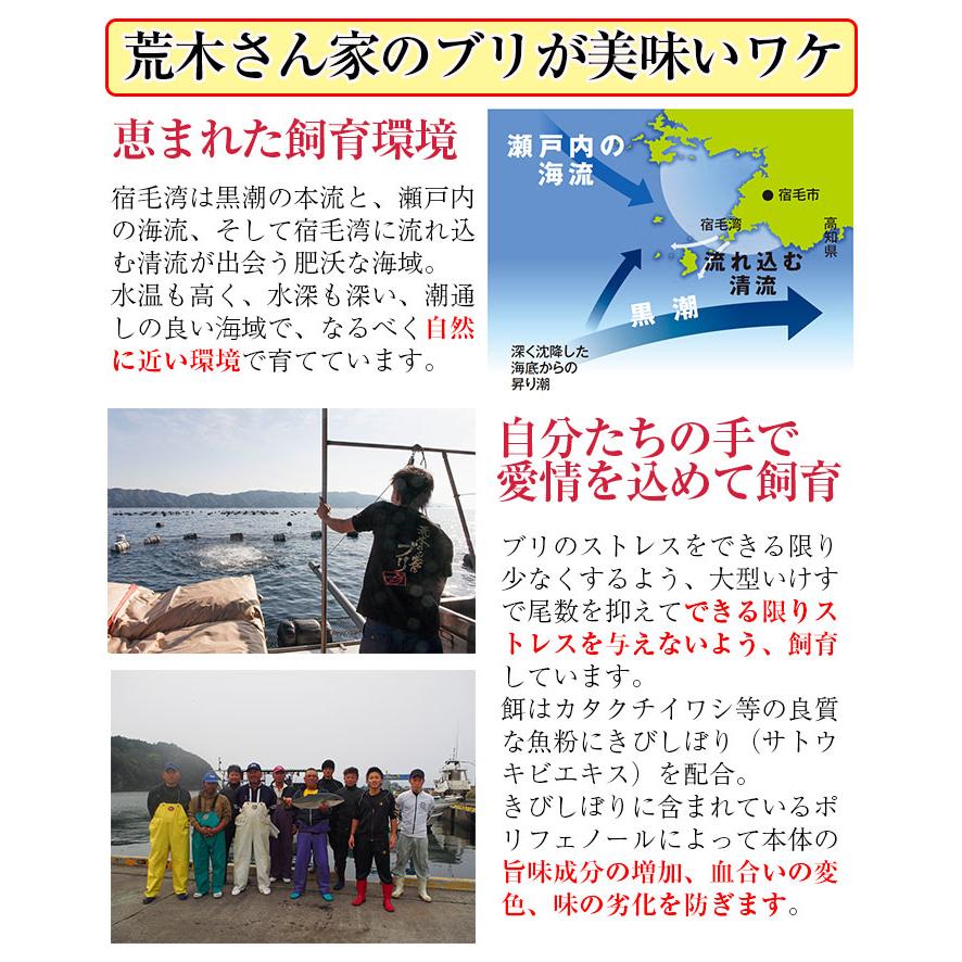 ブリの藁焼きたたきセット(3袋800g)(荒木さん家のブリ)(鰤/ぶり ブリの藁焼きたたきセット(3袋800g)(荒木さん家のブリ)(鰤/ぶり