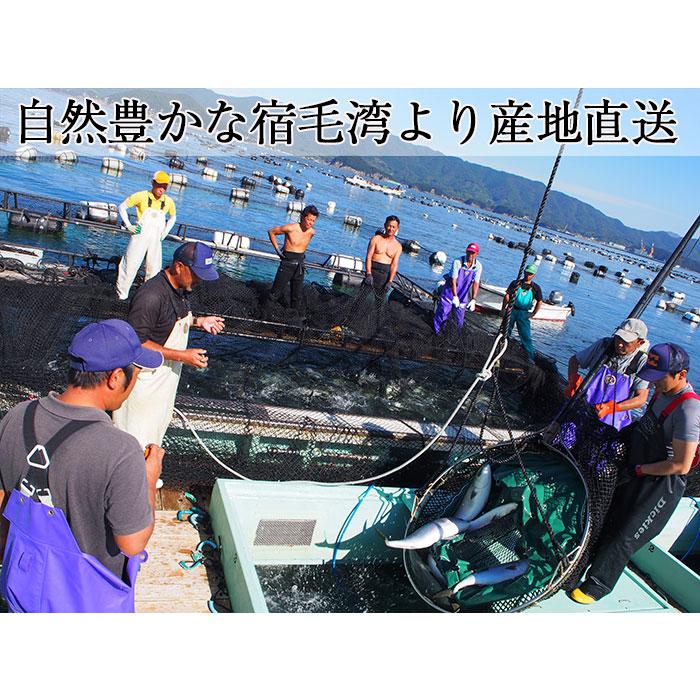 ブリ・カツオ藁焼きたたき食べ比べセット(ブリ2袋600g、カツオ1 ブリ・カツオ藁焼きたたき食べ比べセット(ブリ2袋600g、カツオ1