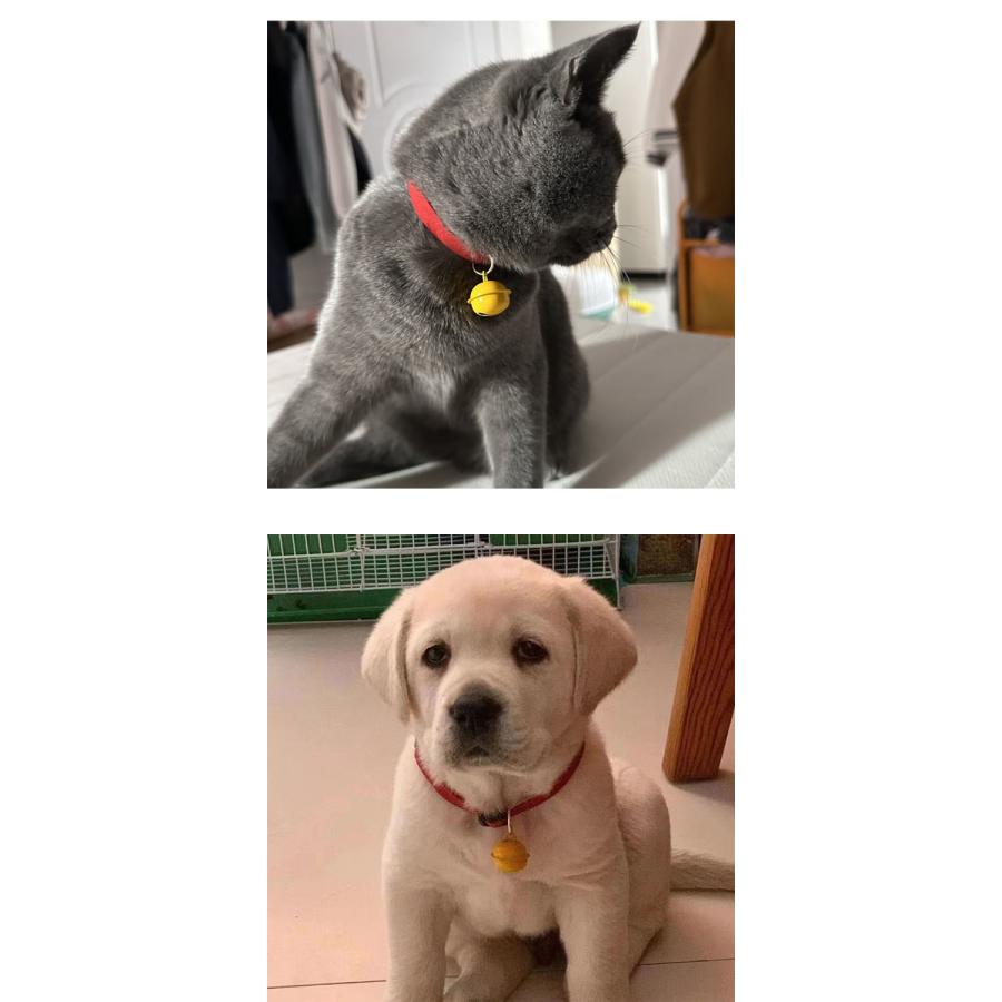 猫 首輪 犬用首輪 ペット用品 鈴付き 小型犬 猫用 おしゃれ かわいい