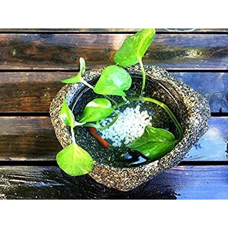 【送料無料】Natural Stone Flower Pot / Planter / Fish Tank / (1)