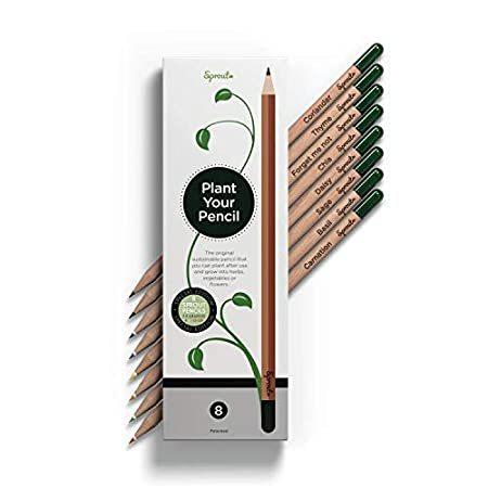 Sprout PlantableカラーPencils with Seeds |boxの8| in Natural持続可能な木製| Perfect fo
