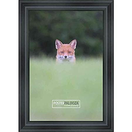 Poster Palooza 30x40 Contemporary Black Wood Picture Frame Complete with