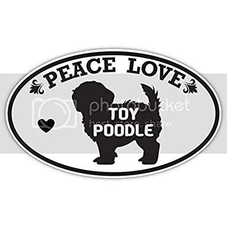 送料無料Makoroni Peace Love Toy Poodle, CAR Magnet-Magnetic Bumper Sticker 3x5 or 4