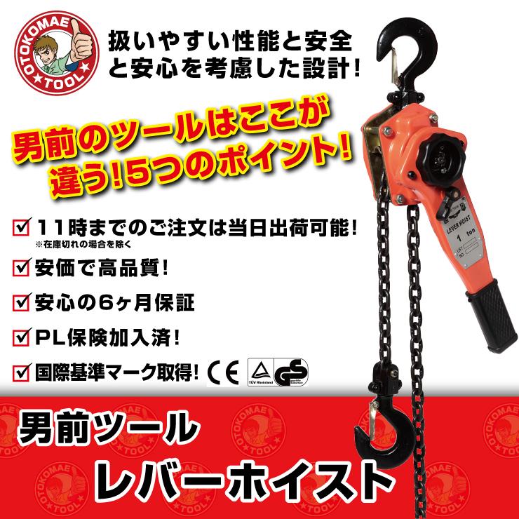 レバーホイスト 0.25t 1台 保証6ヵ月 レバーブロック 締め具 吊り具