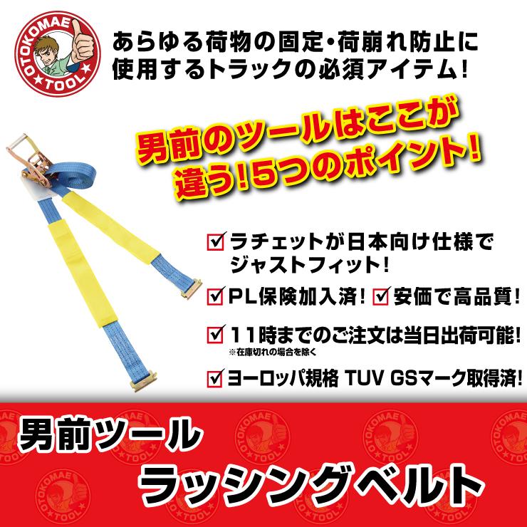 ラッシングベルト フック&レール 2t×7m 固定側1m ベルト幅50mm ラッシングベルト フック&レール 2t×7m 固定側1m ベルト幅50mm