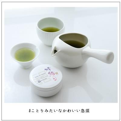 ちゃーみる　蓋なし急須　白　2,860円　茶道具 |  | 05