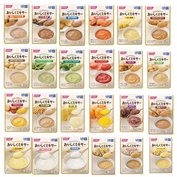 介護食 おいしくミキサー バラエティーセット 24種類×各2個 ホリカフーズ ペースト食