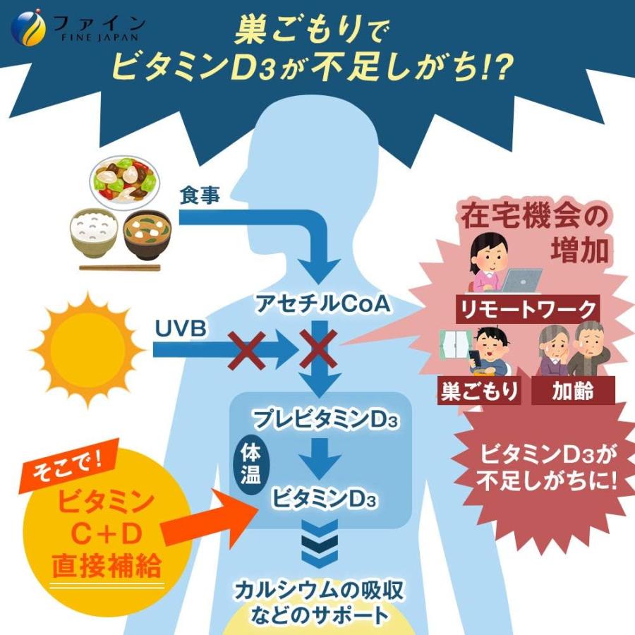 飲料 イオン ドリンク C・Dプラス レモン味 22包入×30箱 ファイン カリウム カルシウム マグネシウム ビタミンC ビタミンD 配合 水分補給 熱中症対策_7