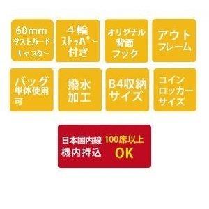 SWANY スワニー D-499 ドゥマーノIV L21 4輪ストッパー付 キャリーバッグ