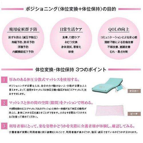 介護モルテンポジショニングピロー ピーチ ポジショニングピロー ピーチ ノーマルサイズ MPHMT モルテン (介護 用