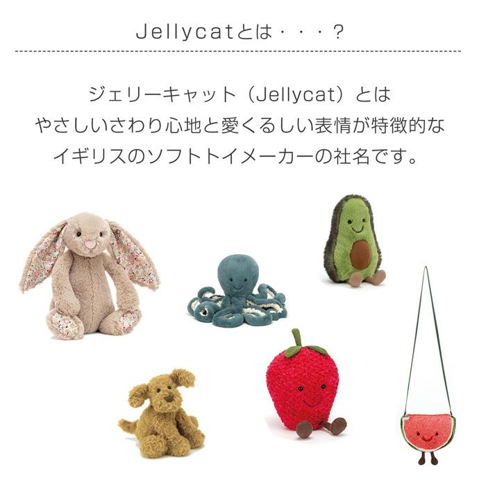 おむつケーキ 出産祝い ジェリーキャット POLO RALPH LAUREN ベビー