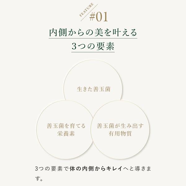 サプリ  植物醗酵 サプリメント OMX OM-X オーエムエックス 3年醗酵 1箱 90粒入 カプセル 乳酸菌サプリ 12種類の乳酸菌 オーエム・エックス 爆買の画像