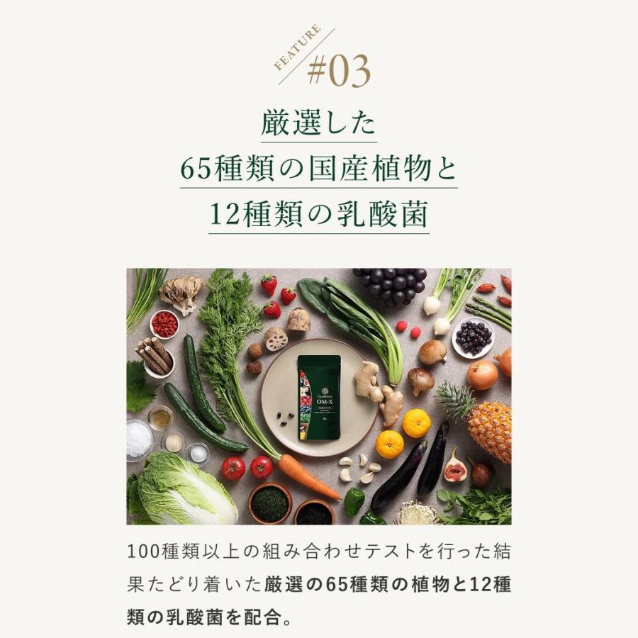 サプリ  植物醗酵 サプリメント OMX OM-X オーエムエックス 3年醗酵 1箱 90粒入 カプセル 乳酸菌サプリ 12種類の乳酸菌 オーエム・エックス 爆買の画像