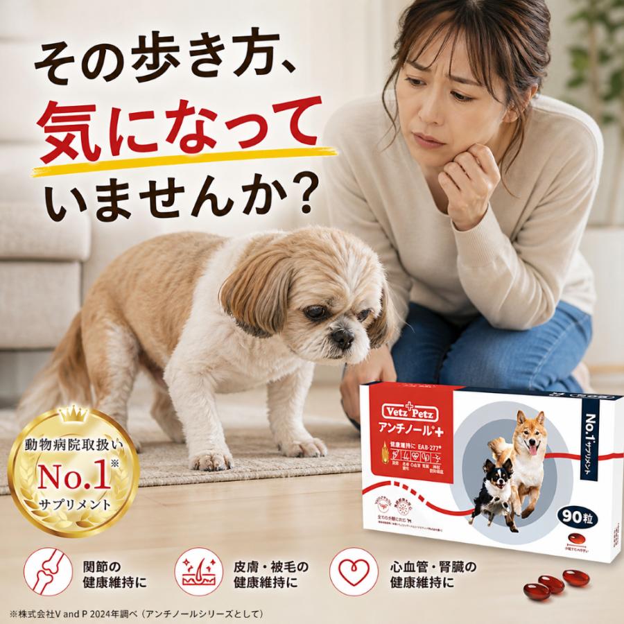 アンチノール プラス 90粒 : 仁友堂 - 通販 - Yahoo!ショッピング