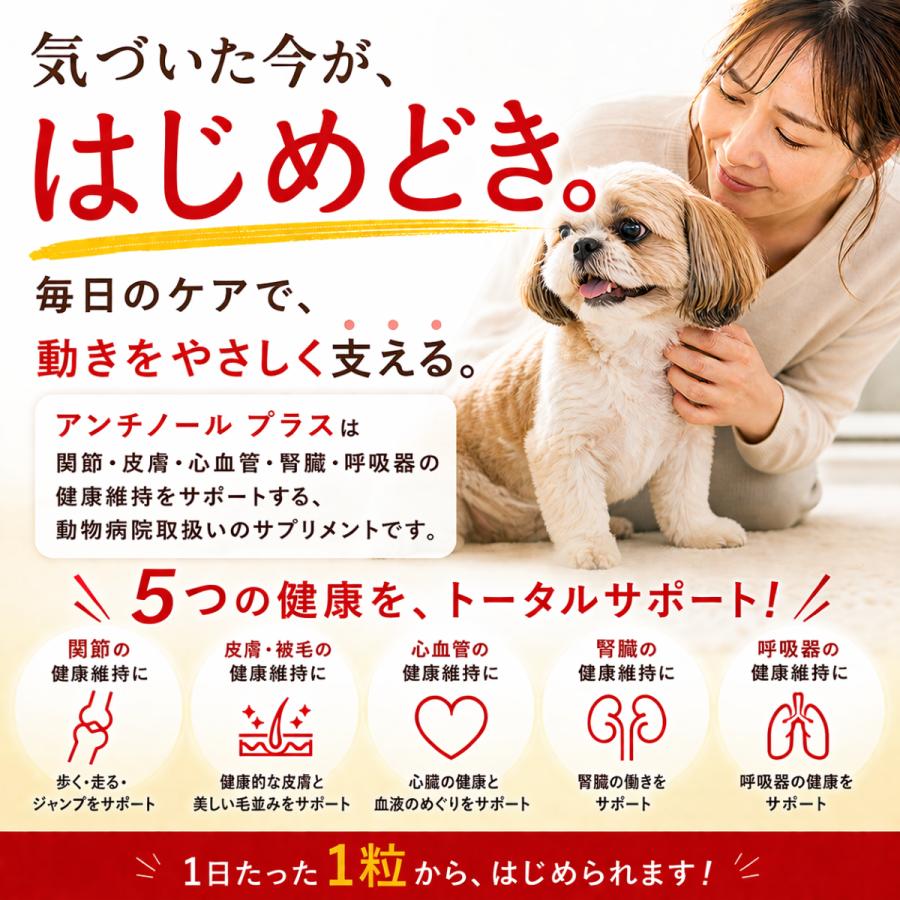 アンチノール プラス 90粒 : 仁友堂 - 通販 - Yahoo!ショッピング