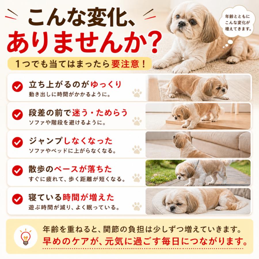 犬用 アンチノールプラス90粒 犬のサプリメント【アンチノール プラス】– ベッツペッツ公式サイト