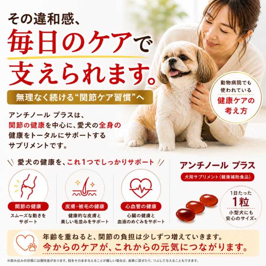 アンチノール プラス 90粒 : 仁友堂 - 通販 - Yahoo!ショッピング