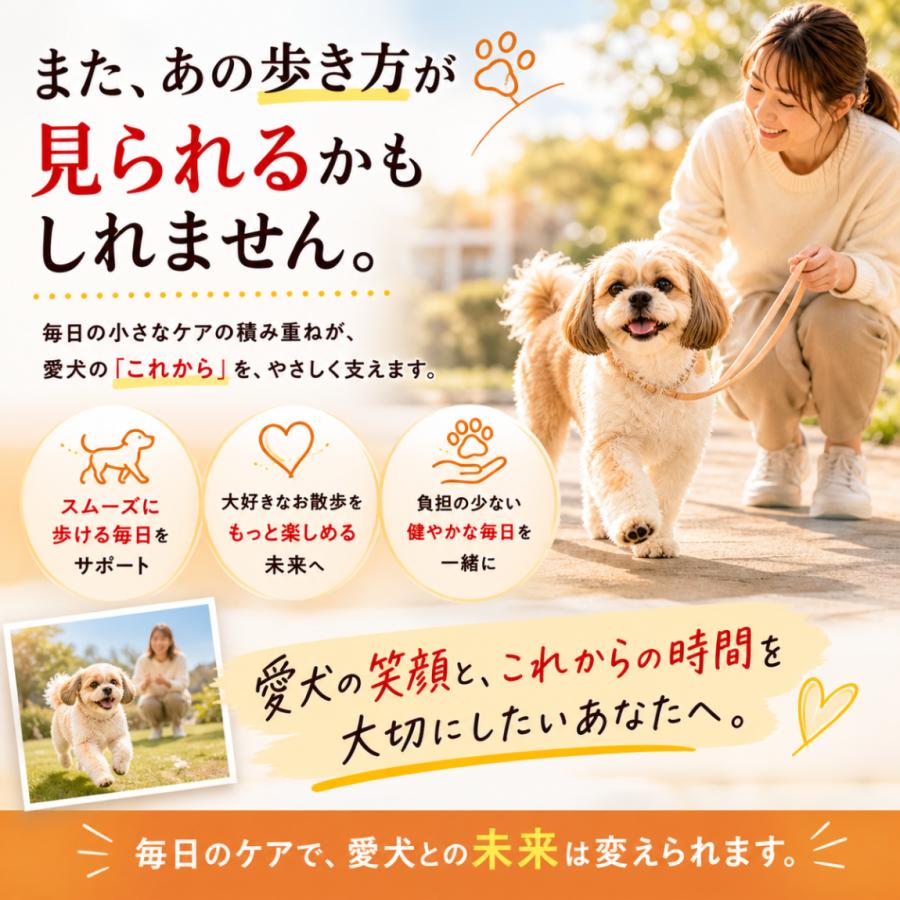 アンチノール プラス 90粒 : 仁友堂 - 通販 - Yahoo!ショッピング