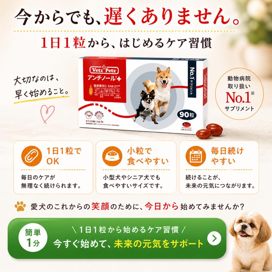 アンチノール プラス 90粒 : 仁友堂 - 通販 - Yahoo!ショッピング