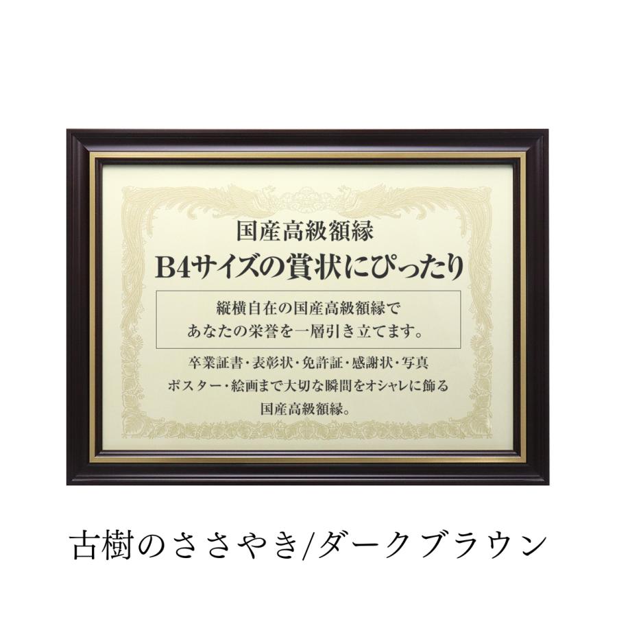 国産高級額縁】木製賞状額 B4 ダークブラウン 額縁 看護師免許証 医師