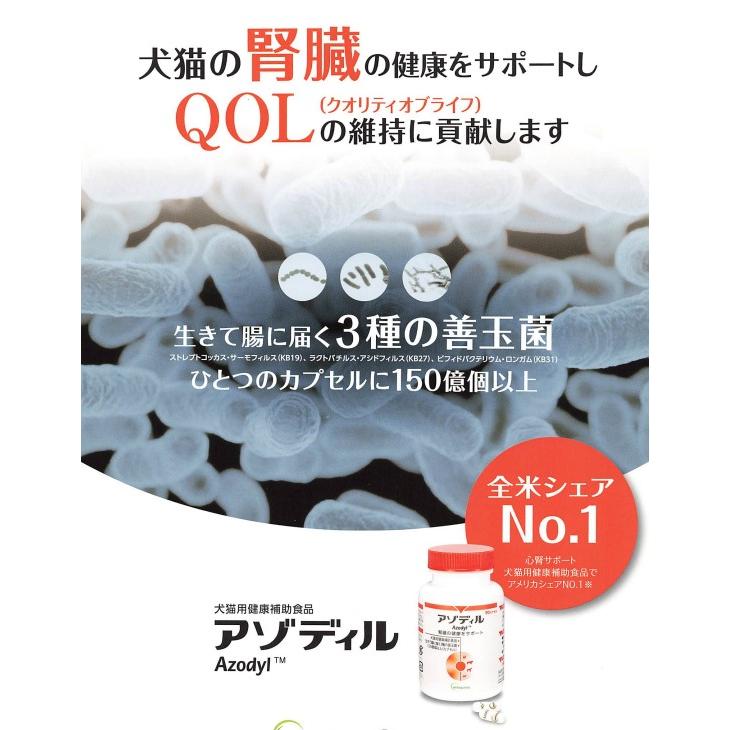 クール便 アゾディル 新品90カプセルと、おまけ10カプセル クール便 アゾディル 90cap 犬猫用 犬猫用サプリメント (90カプセル×1