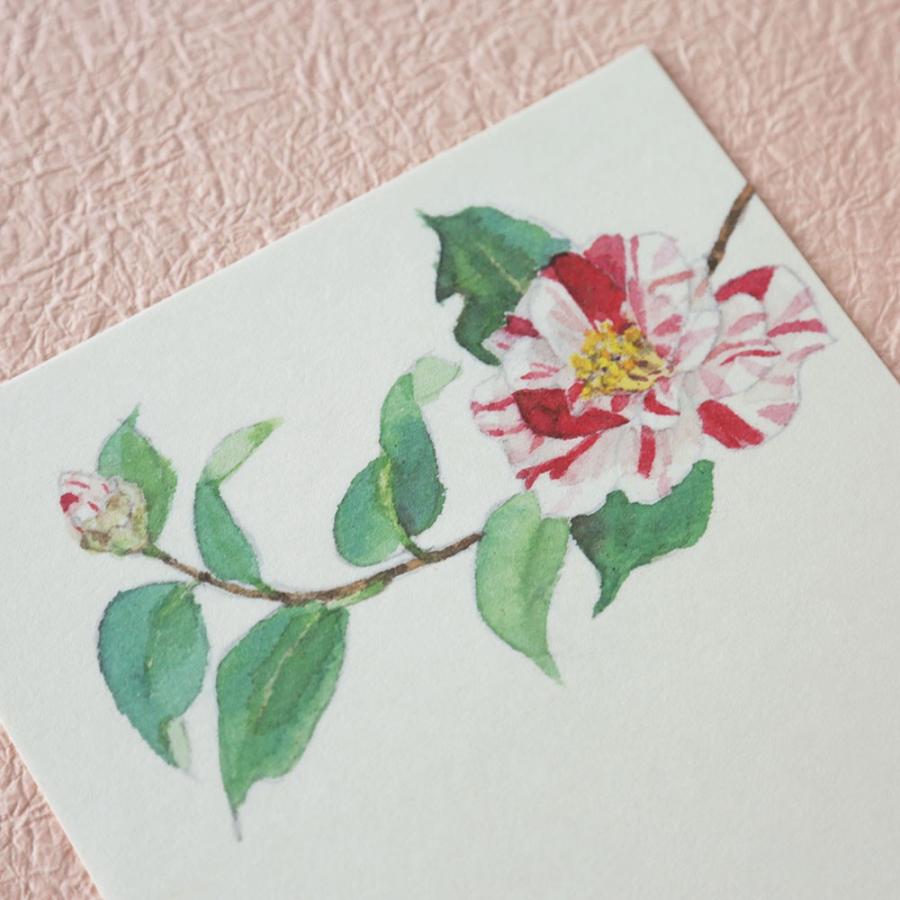 配送員設置送料無料 手紙 おしゃれ 和紙 肌吉紙 便箋 冬の庭 Dprd Jatimprov Go Id