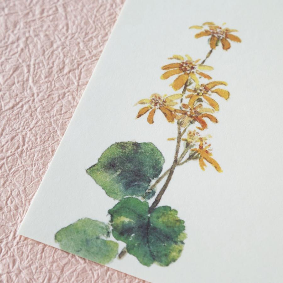 配送員設置送料無料 手紙 おしゃれ 和紙 肌吉紙 便箋 冬の庭 Dprd Jatimprov Go Id