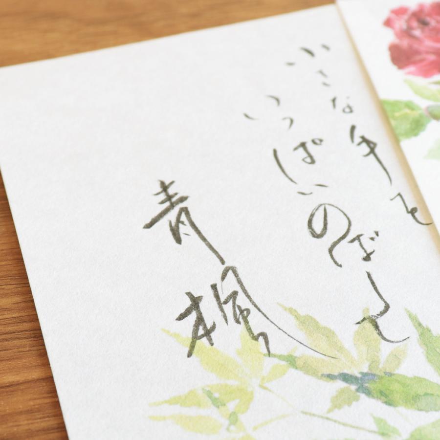 めでたや 便箋封筒 レターセット おしゃれ 和紙 肌吉紙 初夏の季節箋