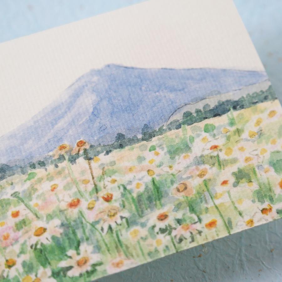 絵葉書 おしゃれ 和紙 季節の絵はがき 夏 富士とマーガレット 和紙生活 通販 Yahoo ショッピング