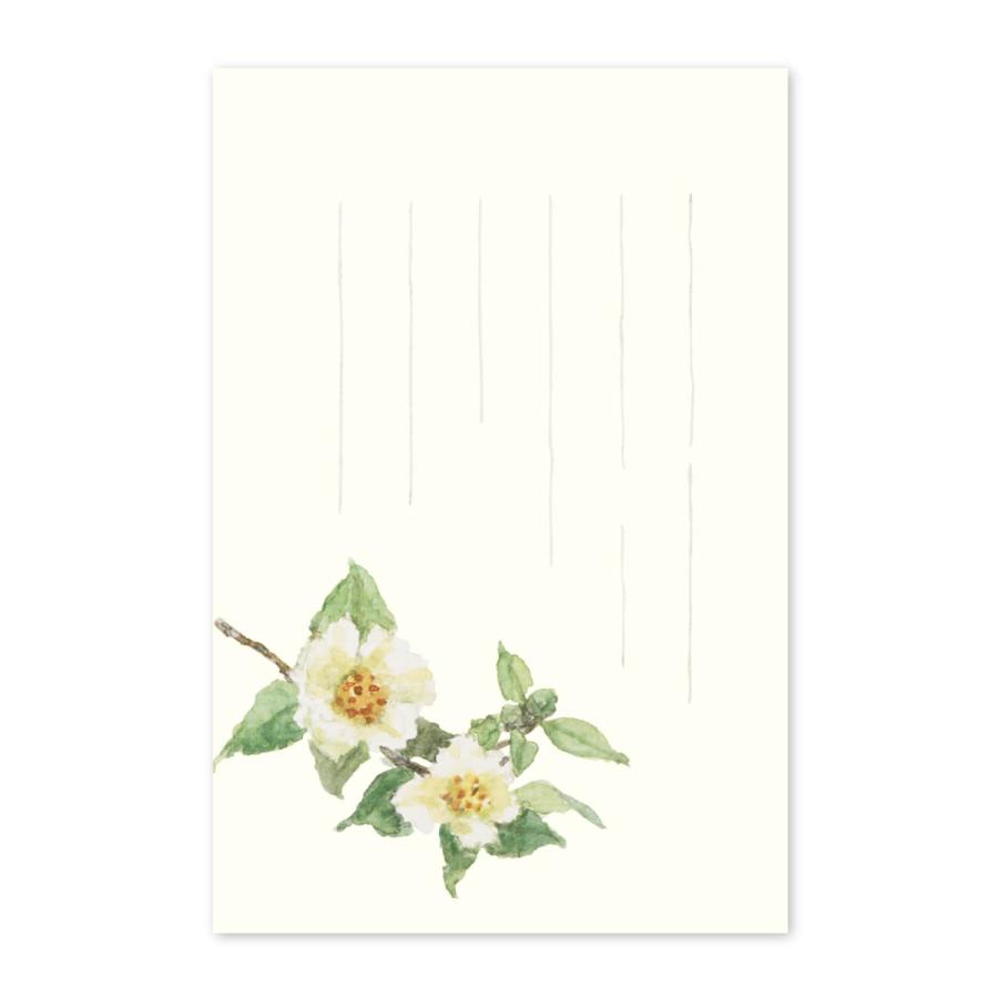 絵葉書 おしゃれ 和紙 季節の絵はがき 夏 夏椿 和紙生活 通販 Yahoo ショッピング