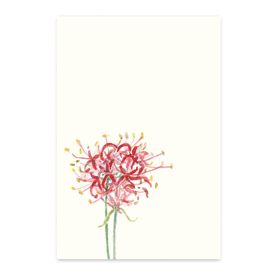 絵葉書 おしゃれ 和紙 季節の絵はがき 秋 彼岸花 和紙生活 通販 Yahoo ショッピング