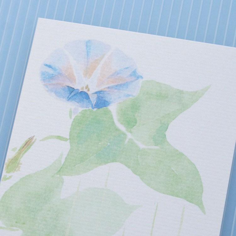 絵葉書 おしゃれ 和紙 季節の絵はがき 夏 朝顔 和紙生活 通販 Yahoo ショッピング