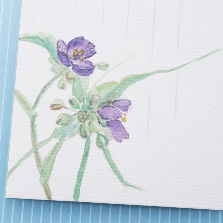 絵葉書 おしゃれ 和紙 季節の絵はがき 夏 むらさきつゆくさ 和紙生活 通販 Yahoo ショッピング