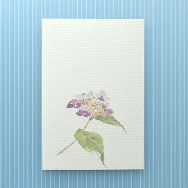 和紙生活絵葉書 おしゃれ 和紙 季節の絵はがき 端午 初夏 七変化 プレゼントを選ぼう