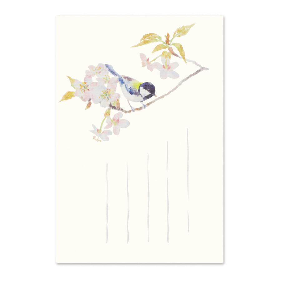 絵葉書 おしゃれ 和紙 季節のはがき 春 四十雀と山桜 和紙生活 通販 Yahoo ショッピング