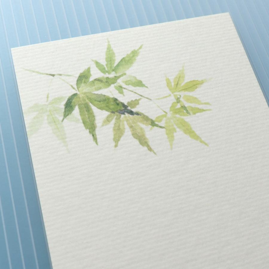 絵葉書 おしゃれ 和紙 季節の絵はがき 端午 初夏 青楓 あおかえで 和紙生活 通販 Yahoo ショッピング