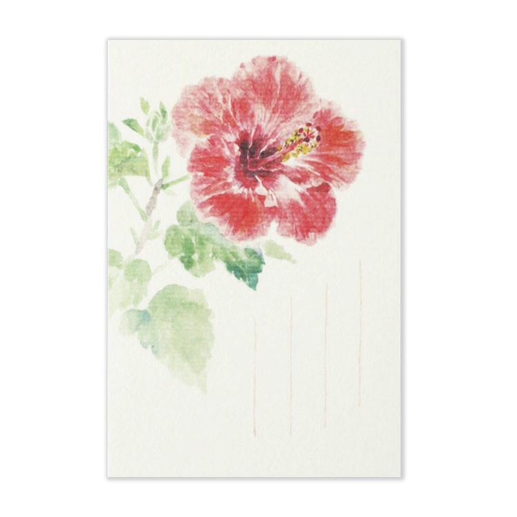 絵葉書 おしゃれ 和紙 季節の絵はがき 夏 ハイビスカス 和紙生活 通販 Yahoo ショッピング